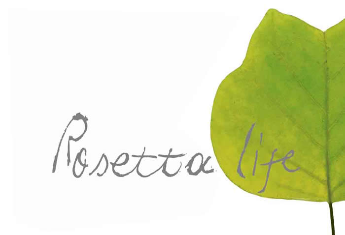 Rosetta Logo